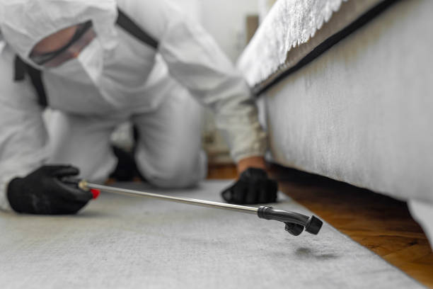 Professional Bed Bug Control technician working in Woodbine, NJ