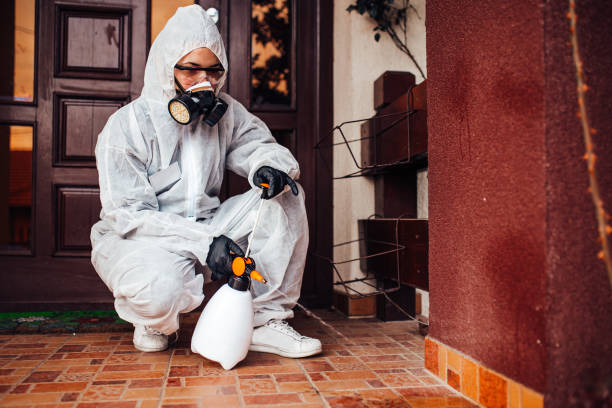Reliable Bed Bug Control contractor in Woodbine, NJ by Nex Pest Control